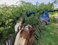 Сильнейший ураган прошел в Беларуси. ВИДЕО