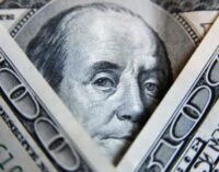 Украинцы рискуют получить фальшивые доллары: НБУ предупредил, где могут всучить липу