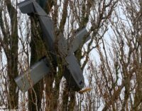 У Київській області дрон застряг на дереві. ФОТО