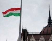 Венгрия вскрыла группу «украинских шпионов» с «чистокровным украинцем» по имени Иштван