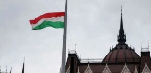 Венгрия вскрыла группу «украинских шпионов» с  «чистокровным украинцем» по имени Иштван
