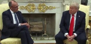 Мерц на встрече с Трампом сделал заявление об Украине