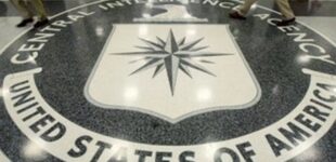 ЦРУ пыталось управлять животными, чтобы делать из них киллеров: раскрыт секретный проект