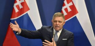 Фицо готов вывести Словакию из НАТО