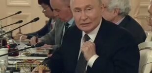 Путин заявил о возможности новых переговоров с Киевом после 22 июня. ВИДЕО
