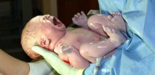 Правительство утвердило выплаты по 50 тысяч гривен за рождение ребенка