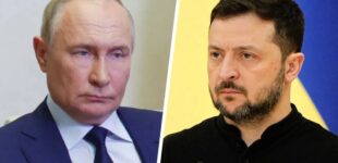 ЦПД опроверг фейки о встрече Зеленского и Путина в Стамбуле