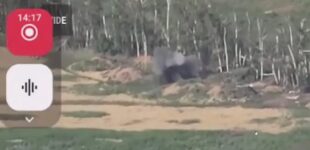 Боевая синергия: дроны и минометы бригады «Гарт» уничтожают врага. ВИДЕО