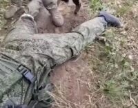«Я в плену 93-й бригады, слава Украине», — в Грузском и Веселом взяты в плен оккупанті. ВИДЕО