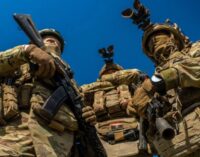 ВСУ вернули контроль над большей частью населенного пункта Толстое в Донецкой области