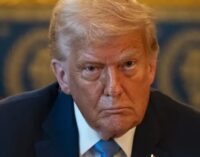 «Ему почти все равно как»: Трамп раздражен и требует заключения мира за счет Украины
