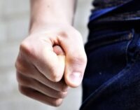 В Хмельницкой области молодые люди жестоко избили женщину в присутствии большого количества людей