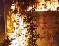 Партизаны заявили о диверсии на заводе ПВО в РФ