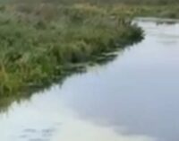 В Хмельницкой области заметили сброс неизвестных веществ в Южный Буг