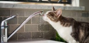 Чернигов остался без воды после атаки российских дронов