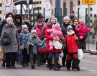 Украинские беженцы в Ирландии: власти ужесточают правила и контроль