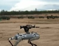 Китай испытал боевых роботов-«волков» в учениях, имитирующих высадку на Тайвань. ВИДЕО