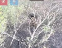 Операция «Труба 4.0» на Сумщине провалилась: ВСУ поджидали оккупантов на выходе. ФОТО