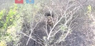 Операция «Труба 4.0» на Сумщине провалилась: ВСУ поджидали оккупантов на выходе. ФОТО