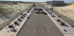 «Летающее минное поле»: в Украине развернут уникальную «стену дронов» для уничтожения «Шахедов»