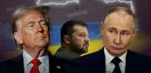 Виталий Бала. Как «план победы» превратился в «пункты капитуляции»