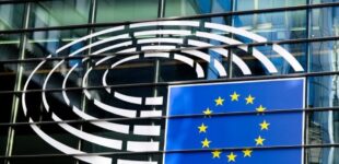 «Мешает достижению мира»: Европарламент резко высказался о «мирном плане» Трампа