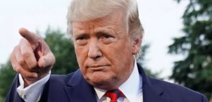 «Саммит по приглашениям», — СМИ выяснили, во что Трамп может превратить следующую встречу G20