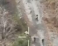 Украинские морпехи под Мирноградом берут оккупантов в плен группами. ВИДЕО