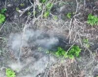 Сбили FPV бомбардировщиком: воины Железной бригады проредили численность оккупантов. ВИДЕО