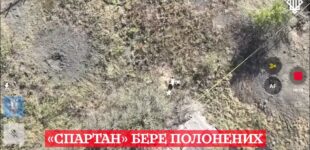 Харьковская бригада Нацгвардии взяла в плен трех российских солдат. ВИДЕО