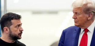 Трамп скептически отнесся к озвученному Зеленским плану мирного соглашения