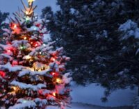 Снежный Новый год: синоптики пообещали украинцам крепкие морозы