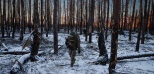 Россияне накапливаются в Серебрянском лесу и пытаются обойти Дроновку