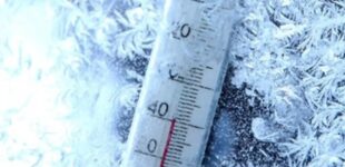 Сибирский «взрыв» или арктический кошмар: синоптики дали прогноз зимы в Европе