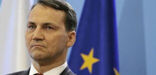 «Вот в чем проблема», – Сикорский раскрыл настоящую идеологию РФ