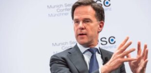 «Нам не нужен фанатик Трампа»: Европа навалилась на генсека НАТО из-за невероятной лояльности Трампу