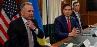 Донбасский узел: Уиткофф и Кушнер не будут присутствовать на переговорах Украины и России