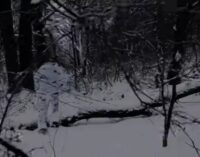 Легион «Свобода России» тихо зашел на 7 км в тыл оккупантов и наделал шума. ВИДЕО