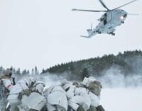 Чтобы успокоить Трампа по Гренландии:  НАТО готовится укрепить безопасность в Арктике