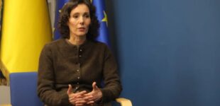 Гуманитарная помощь Украине на 4,7 млрд евро: в ЕС раскрыли, на что пошли средства