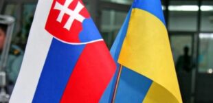 Словакия дала заднюю: венгры поехали в Украину «туристами» без поддержки союзников