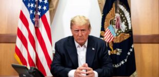 Верю — не верю: Трампа заявил, кому из политиков доверяет больше всего