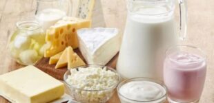 В Украине подорожала почти вся молочная продукция: каковы теперь цены