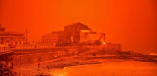 Песчаная буря окрасила Анталию в оранжевый цвет: сюрреалистические кадры с курорта. ФОТО