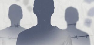 В МВД разъяснили, как получить статус пропавшего без вести