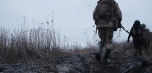 Ничего живого не остается: украинский офицер описал жуткую реальность современной передовой