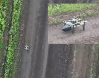 Технологическая охота: украинские дроны научились замирать перед ударом. ВИДЕО