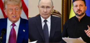 Чужая война за океаном: почему Трампу плевать на Украину, но не на российскую нефть
