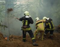 В Закарпатье горит лес: на месте работают авиация и спасатели из трёх областей