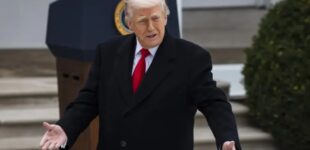 Короткое «нет» Трампа: Кремлю не стоит рассчитывать на сдачу украинских территорий. ВИДЕО